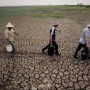 中国南方旱灾