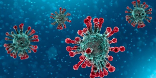 Il commento di Rappuoli sul possibile vaccino anti coronavirus