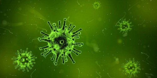 Coronavirus: tutto il “Panini tour up! 2020” sospeso in via cautelativa