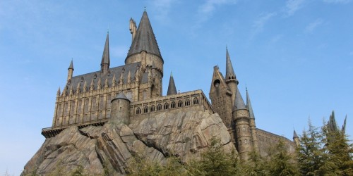 Quarantena: Harry Potter è l'amico più fidato