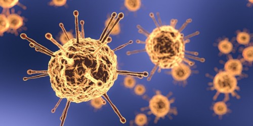 Coronavirus: positivi i primi test preclinici di cinque possibili vaccini condotti in Italia