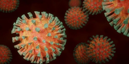 Coronavirus, lo studio sulle cause: polveri sottili e mancato smart work