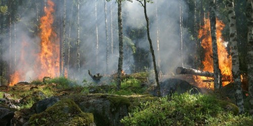 Gorizia, incendio causa esplosione di residuati bellici. Castronovo (Pres. ANVCG): «Popolazione a rischio»