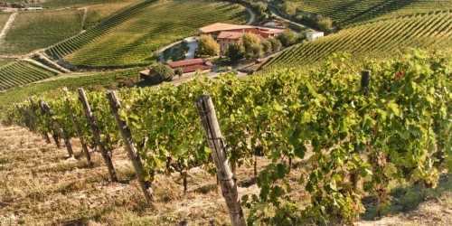 Mondodelvino presenta Ricossa, antica cantina di vini classici piemontesi
