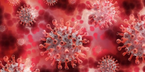 Le staminali in polvere contro i danni ai polmoni causati dal Coronavirus