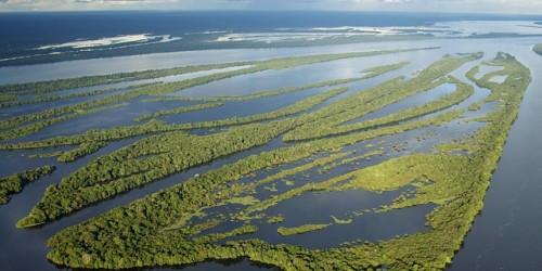 Amazzonia, solo a luglio spariti più di 1600 km quadrati di foresta