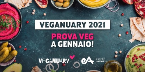 Arriva Veganuary: una mail al giorno per provare un’alimentazione vegetale