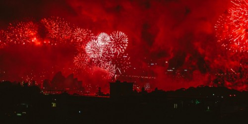 Strage di uccelli a Roma per i fuochi d'artificio. L'Oipa: "Se ne vieti l'uso"