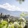 5 motivi per visitare Tirolo, uno dei borghi più suggestivi dell’Alto Adige