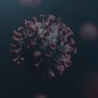 SarsCov2, individuato il progenitore del virus