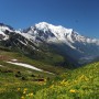 Monte Bianco, il 26 giugno riapre il Giardino Botanico Saussurea