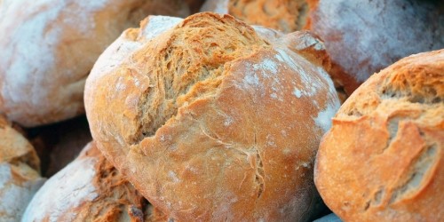 "Dal grano al pane" escursione tra masi e mulini in Alto Adige