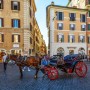 Botticelle Roma, l'Oipa chiede alla Raggi di bloccare la circolazione in allerta tre