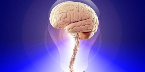 Il cervello umano unico grazie a delle speciali molecole