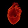 Rischi cardiovascolari: 2 pazienti su 10 non seguono la giusta terapia