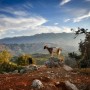 Le orme più antiche a Creta