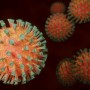 Per Cartabellotta c’è nuova diffusione del virus