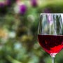 Enologia, verso la costituzione del Consorzio di tutela dei vini Doc Vallée d'Aoste