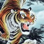 La Cina festeggia il Capodanno, domani inizia l'Anno della Tigre