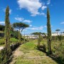 Pompei, vivaio Casa di Pansa aperto in anteprima per la giornata del paesaggio