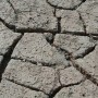Siccità "epocale", dai consorzi di Parma e Piacenza l'appello agli agricoltori: risparmiate acqua