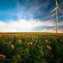 Energia, rinnovabili: in Italia il 2023 farà segnare nuovo record