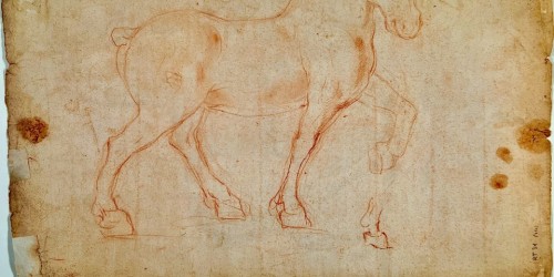 Roma, al Parlamento Europeo la conferenza "Il cavallo ideale di Leonardo Da Vinci"