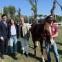 Equitazione, il cavallo “Esso” e il suo viaggio per la salute mentale