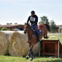 Novara: weekend tra cani, cavalli e pony allo Sporting Club Monterosa