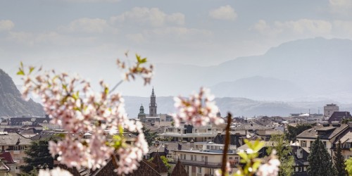 Fiori, arte e bicicletta: Bolzano riparte da qui