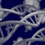 Orologio biologico, scoperti i geni che lo regolano