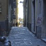 G8 Genova, Realacci: violenza e disonore venti anni fa, ferita ancora aperta