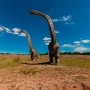 Dinosauri: trovati i segni lasciati dallo tsunami che li ha estinti