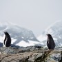 UE e Antartide: soluzione rapida per proteggere le aree marine