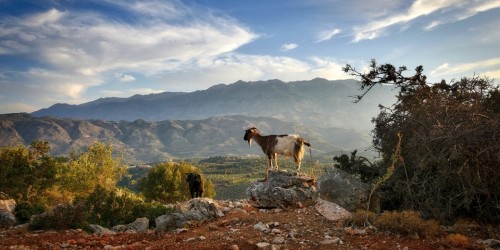 Le orme più antiche a Creta