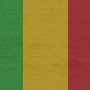 Ecowas/Cedeao, nuove sanzioni per la giunta militare del Mali
