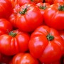Serre hi-tech e sostenibili per produrre pomodori italiani tutto l’anno