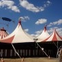 Fiumicino: arriva il circo, ma il Comune vieta di usare animali