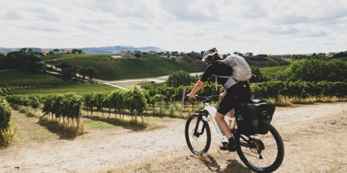 Turismo, torna "Bike&Wine Press", In sella per promuovere vacanze in bici