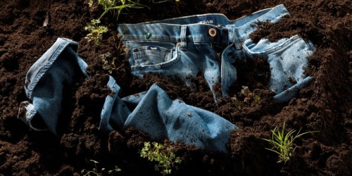 GAS Jeans lancia il denim biodegradabile