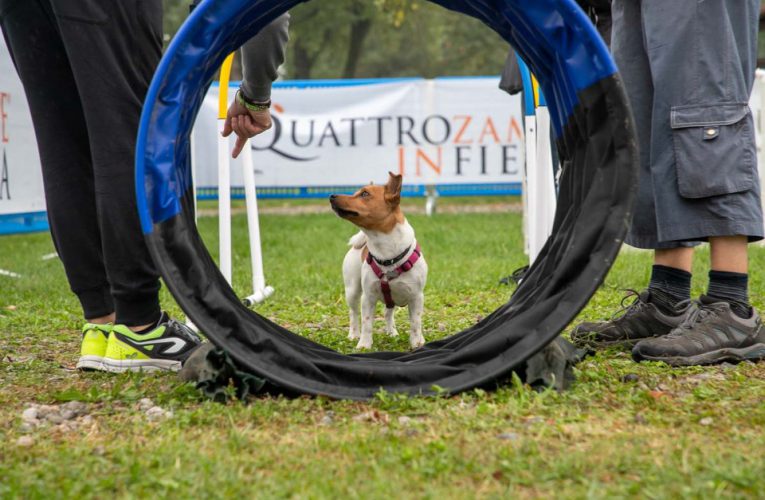 Roma, arriva Quattrozampeinfiera