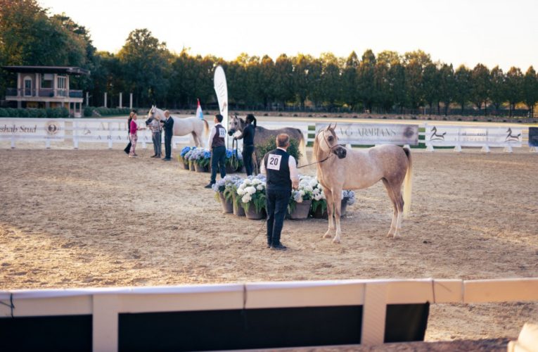 Cavalli in Villa arriva a Treviso, 5ª tappa a Volpago del Montello