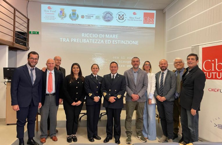 Riccio di mare: tra prelibatezza ed estinzione