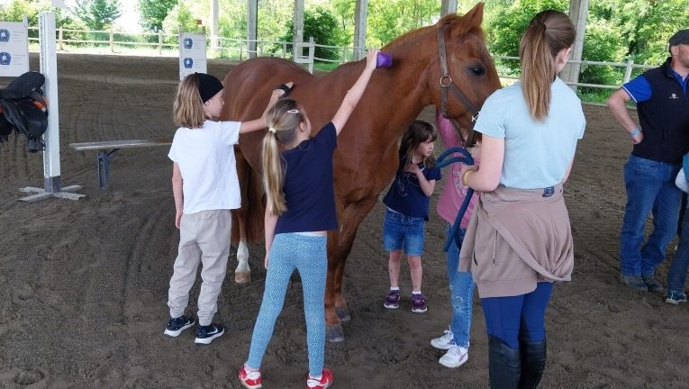 Novara, Sporting Club Monterosa: grande successo per il weekend internazionale di sport equestri