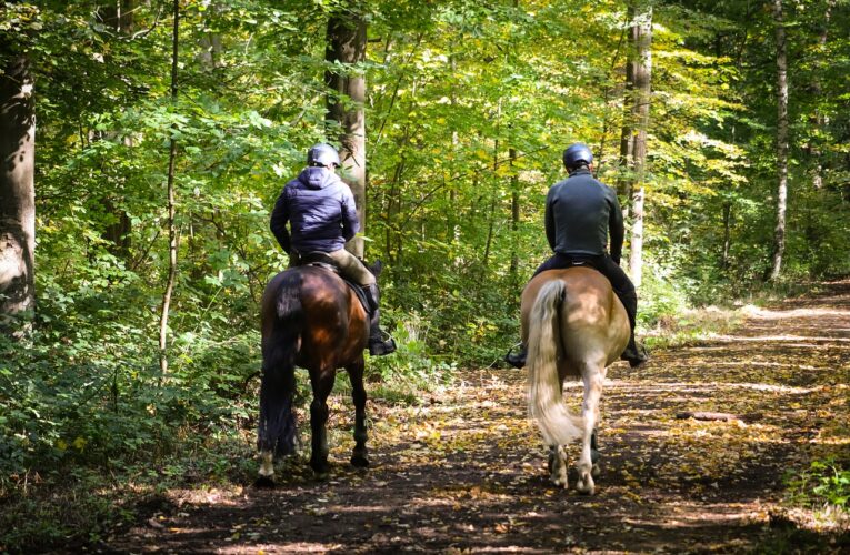 Lombardia, via libera in commissione al progetto di legge sul turismo equestre e ippovie