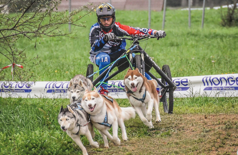 Sporting Club Monterosa Novara, il 2 e 3 novembre prima tappa della coppa del mondo di Sleddog