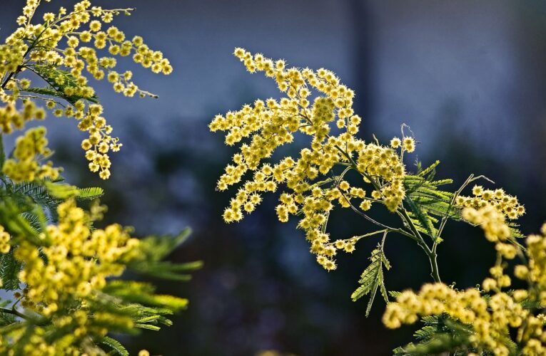 Si fessura ma non si infrange il “soffitto di cristallo”